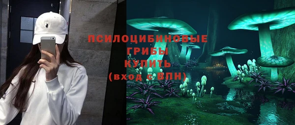 дмт Россошь