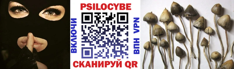 Псилоцибиновые грибы Psilocybe  закладка  Рыльск 